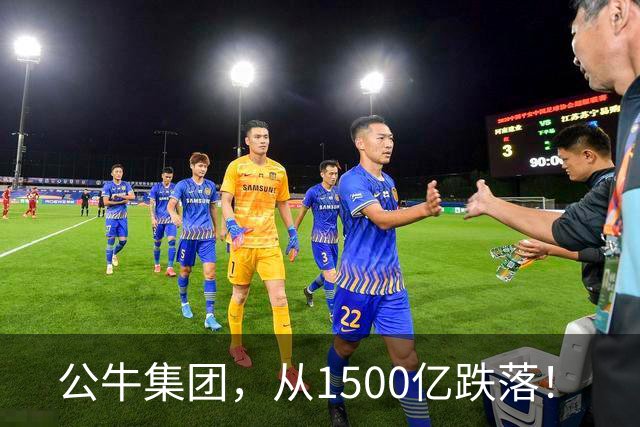 公牛集团，从1500亿跌落！
